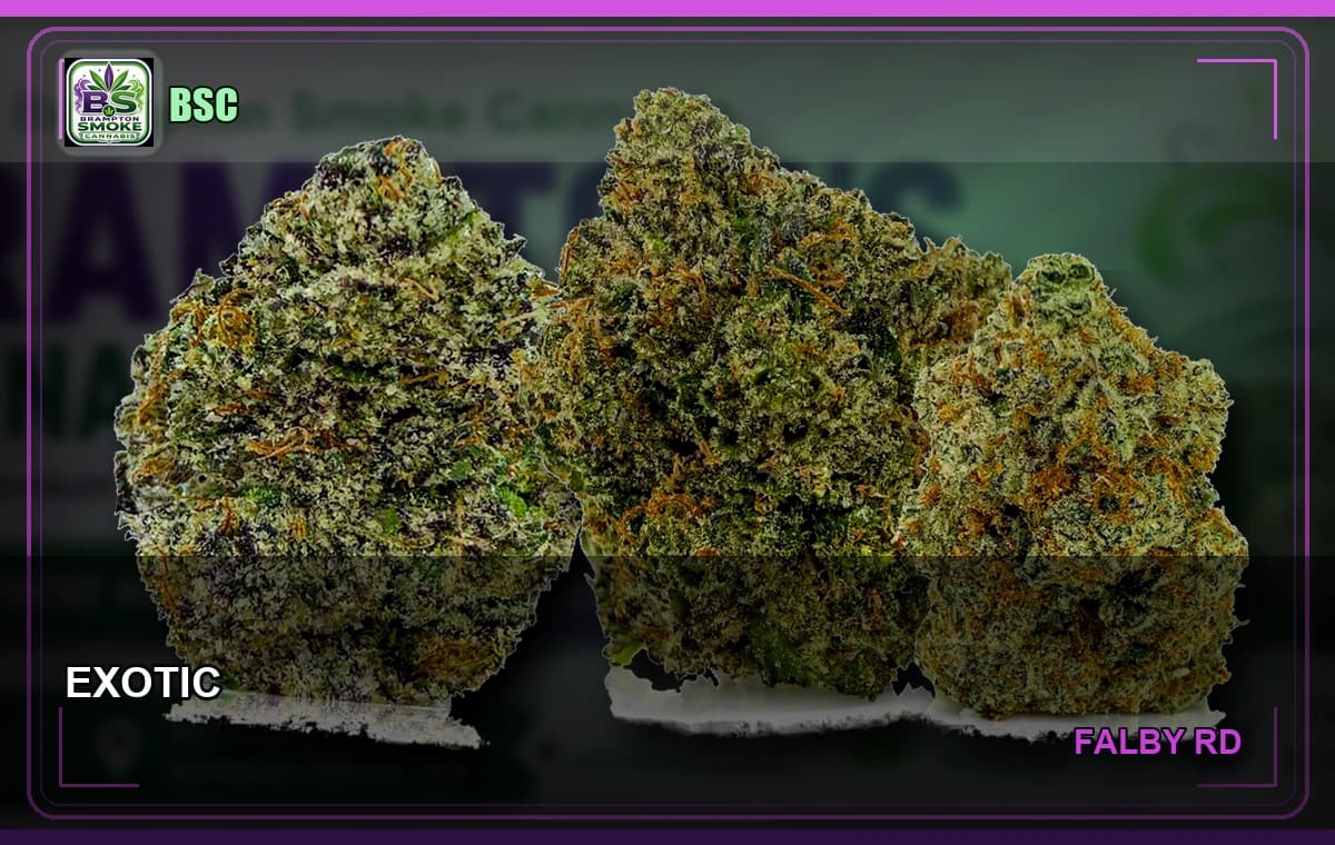 EXOTIC WEED Brampton Smoke Cannabis banner